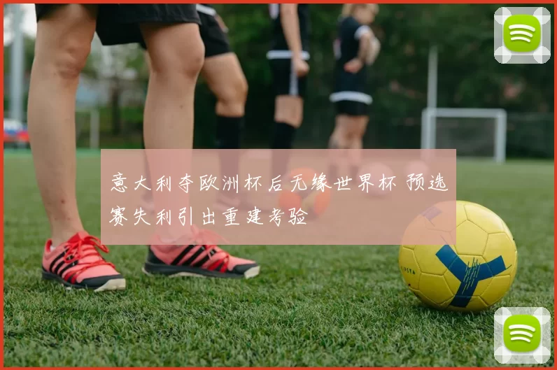 意大利夺欧洲杯后无缘世界杯 预选赛失利引出重建考验