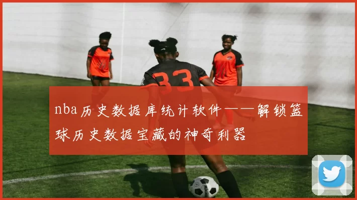 nba历史数据库统计软件——解锁篮球历史数据宝藏的神奇利器