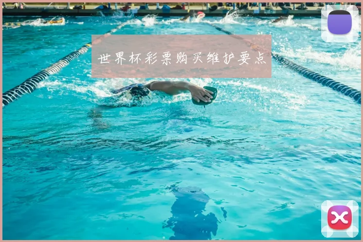世界杯彩票购买维护要点