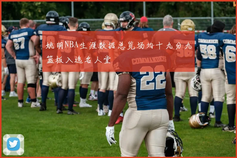 姚明NBA生涯数据总览场均十九分九篮板入选名人堂