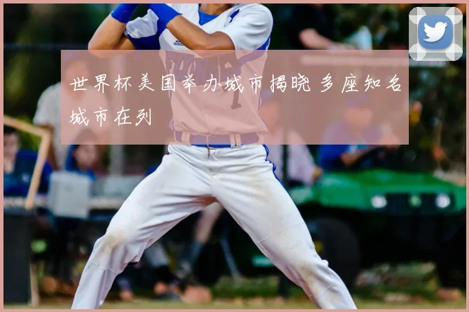 世界杯美国举办城市揭晓 多座知名城市在列