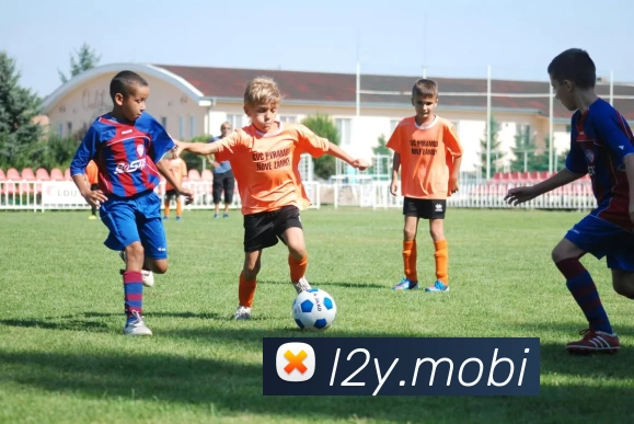 开云app官方官网服务体系